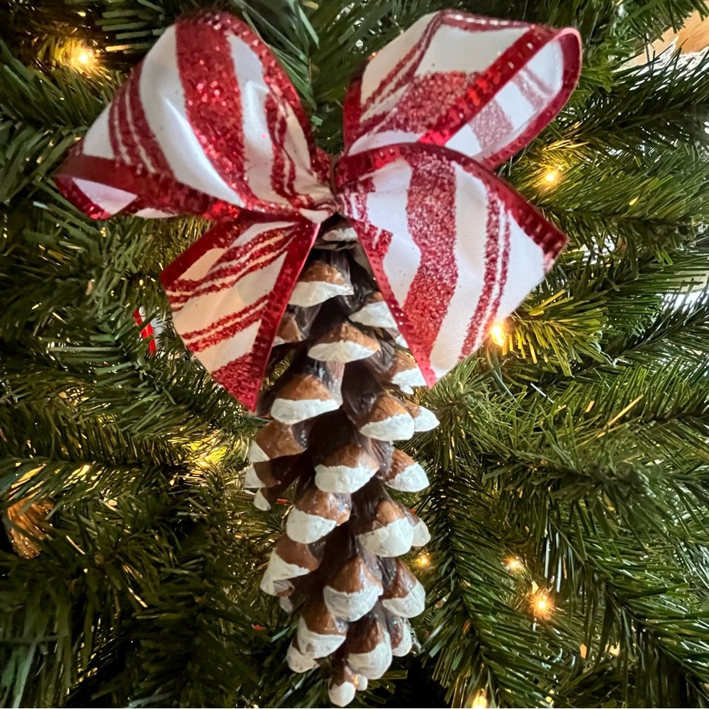6 Pinecone Ornament Christmas Set